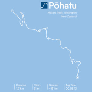 Pōhatu Design
