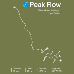 Peak Flow Design