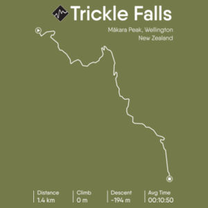 Trickle Falls Design