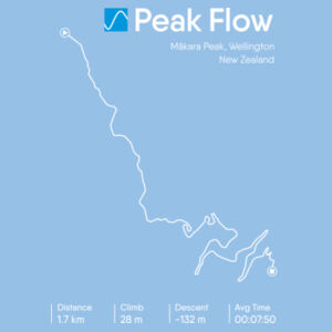 Peak Flow Design