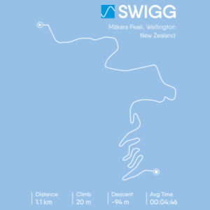 SWIGG Design